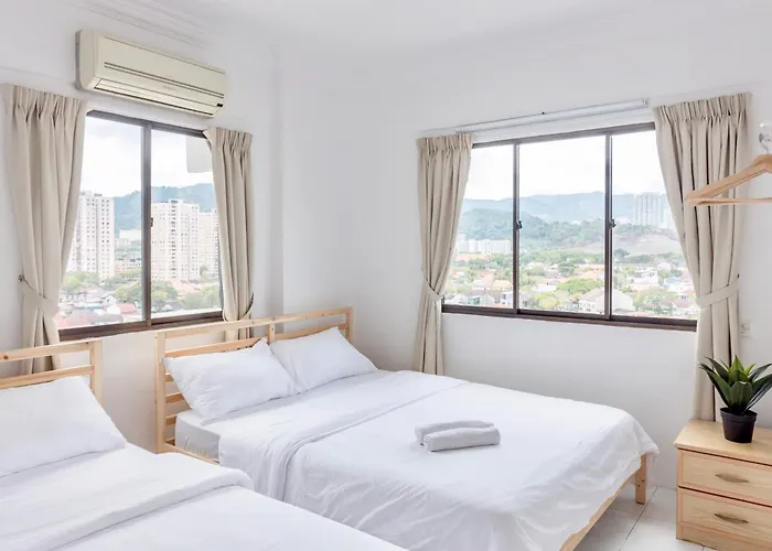 Eastern Apt, Jelutong